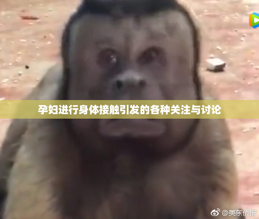 孕妇进行身体接触引发的各种关注与讨论