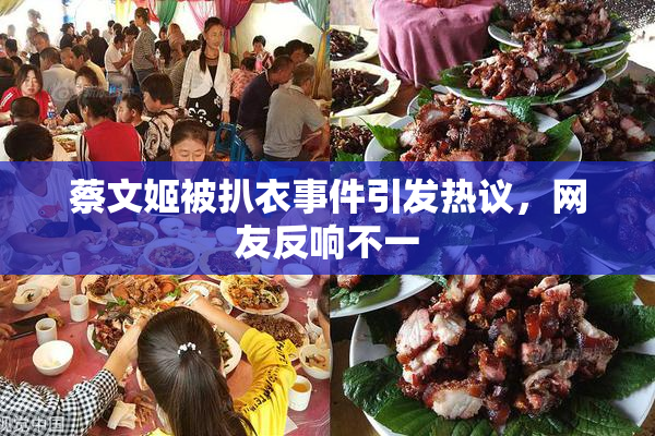 蔡文姬被扒衣事件引发热议，网友反响不一