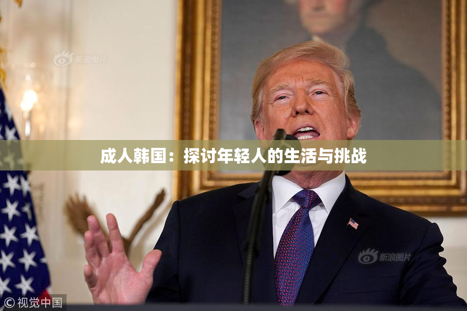 成人韩国：探讨年轻人的生活与挑战