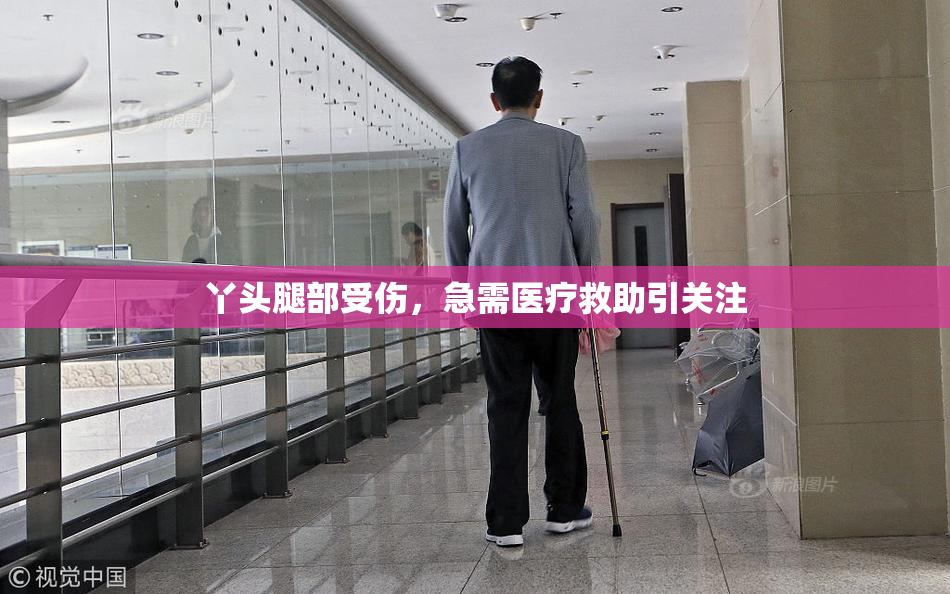 丫头腿部受伤，急需医疗救助引关注