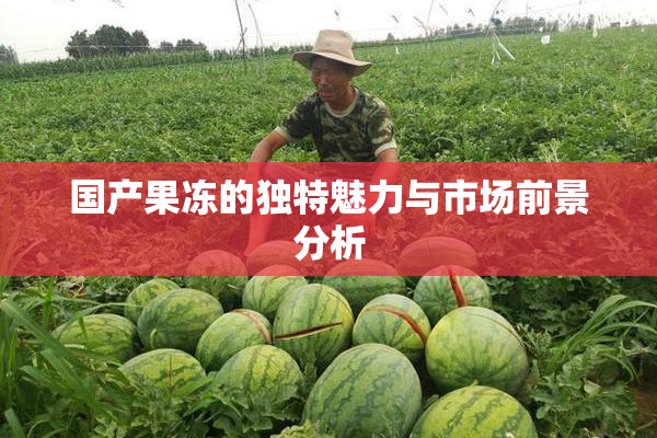 国产果冻的独特魅力与市场前景分析