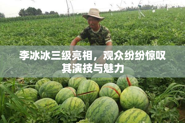 李冰冰三级亮相，观众纷纷惊叹其演技与魅力