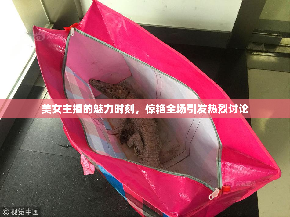 美女主播的魅力时刻，惊艳全场引发热烈讨论