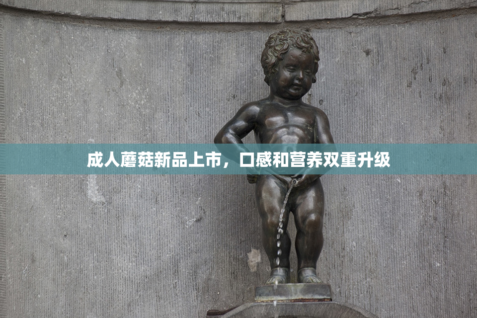 成人蘑菇新品上市，口感和营养双重升级