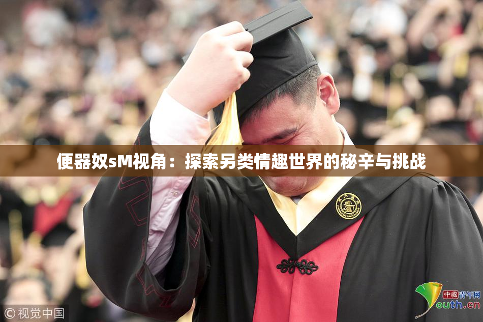 便器奴sM视角：探索另类情趣世界的秘辛与挑战