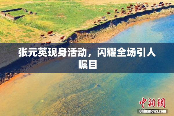 张元英现身活动，闪耀全场引人瞩目