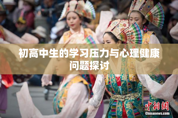 初高中生的学习压力与心理健康问题探讨