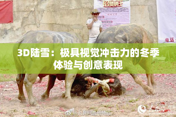 3D陆雪：极具视觉冲击力的冬季体验与创意表现