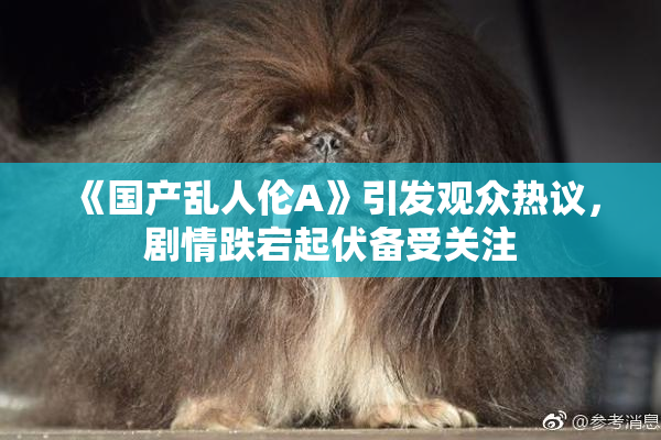 《国产乱人伦A》引发观众热议，剧情跌宕起伏备受关注