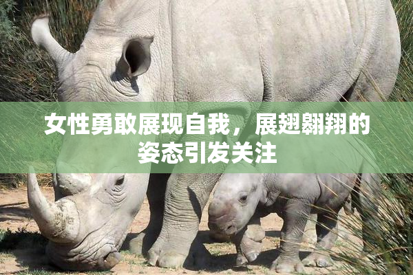 女性勇敢展现自我，展翅翱翔的姿态引发关注