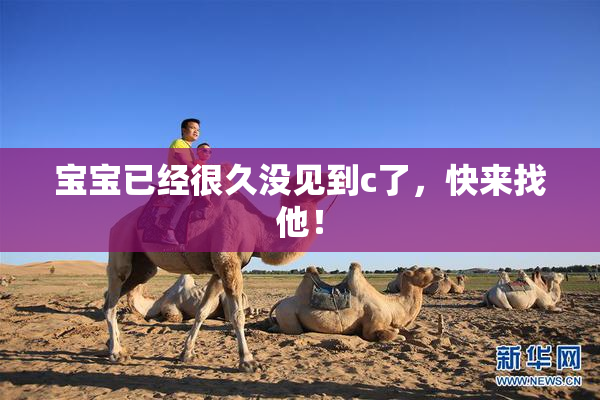 宝宝已经很久没见到c了，快来找他！