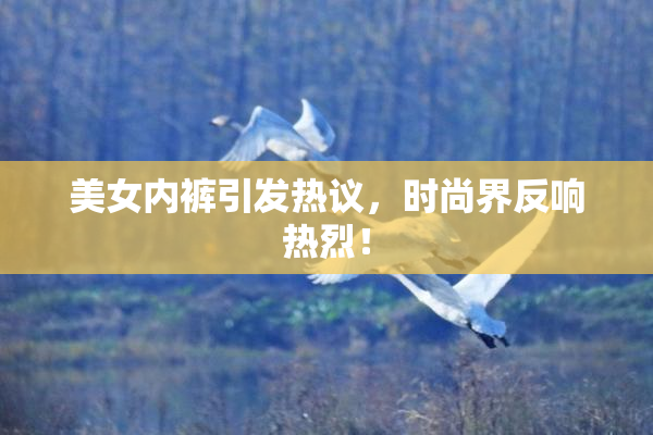 美女内裤引发热议，时尚界反响热烈！