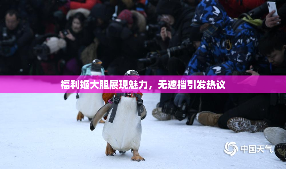 福利姬大胆展现魅力，无遮挡引发热议