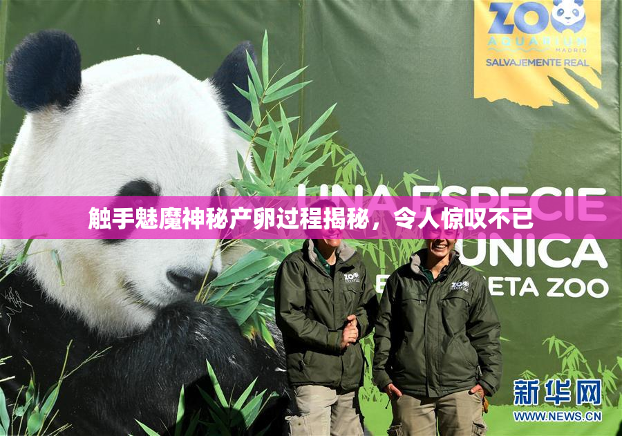 触手魅魔神秘产卵过程揭秘，令人惊叹不已