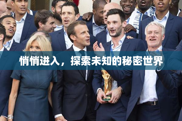 悄悄进入，探索未知的秘密世界