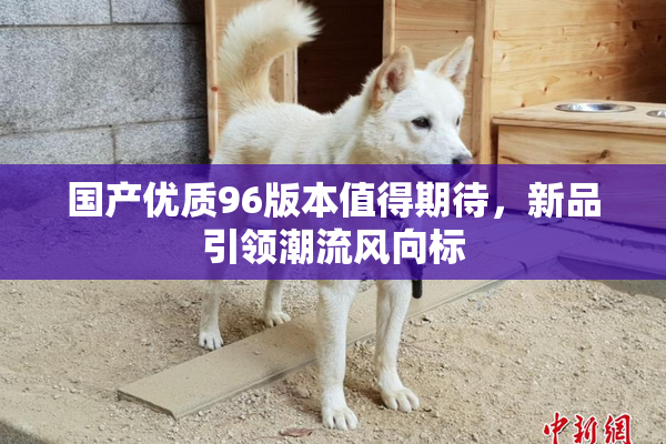 国产优质96版本值得期待，新品引领潮流风向标
