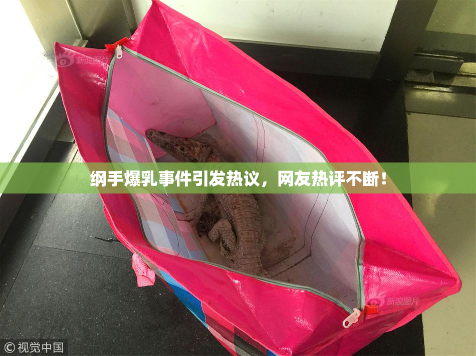 纲手爆乳事件引发热议，网友热评不断！