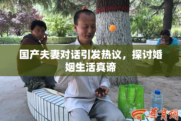 国产夫妻对话引发热议，探讨婚姻生活真谛