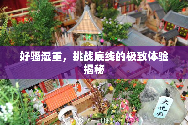 好骚湿重，挑战底线的极致体验揭秘