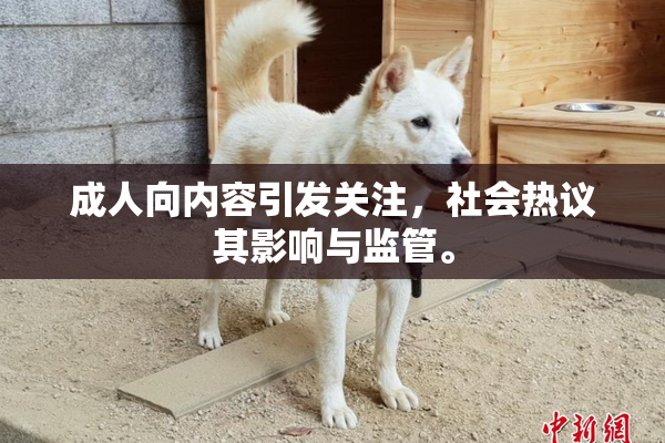 成人向内容引发关注，社会热议其影响与监管。
