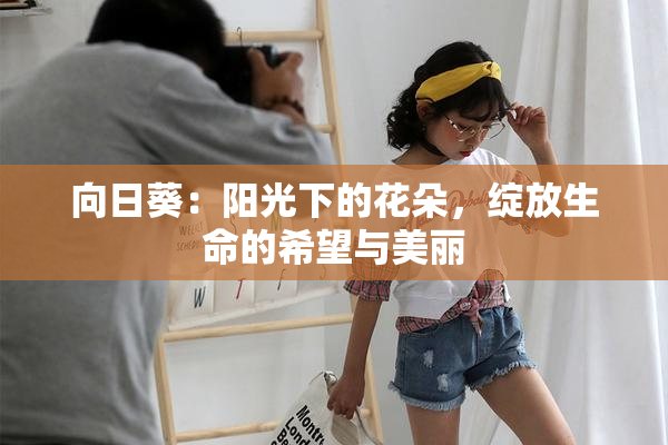 向日葵：阳光下的花朵，绽放生命的希望与美丽