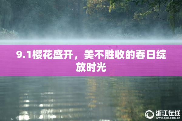 9.1樱花盛开，美不胜收的春日绽放时光