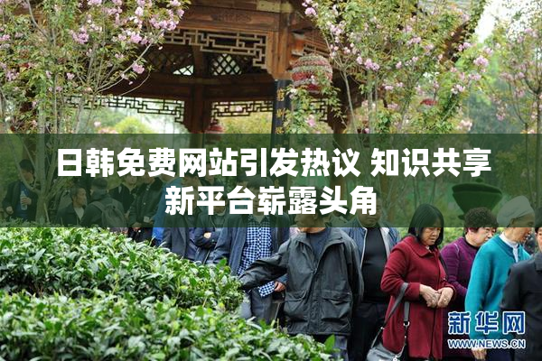日韩免费网站引发热议 知识共享新平台崭露头角