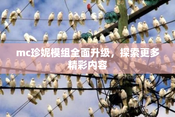 mc珍妮模组全面升级，探索更多精彩内容