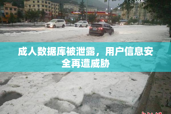 成人数据库被泄露，用户信息安全再遭威胁