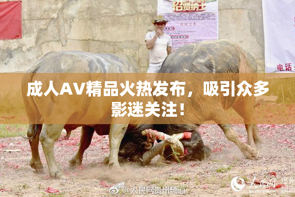 成人AV精品火热发布，吸引众多影迷关注！