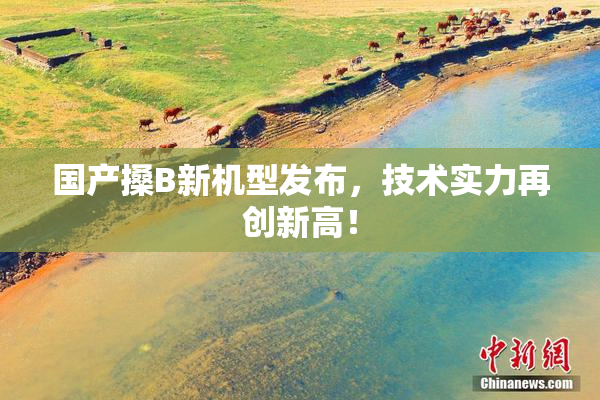 国产搡B新机型发布，技术实力再创新高！