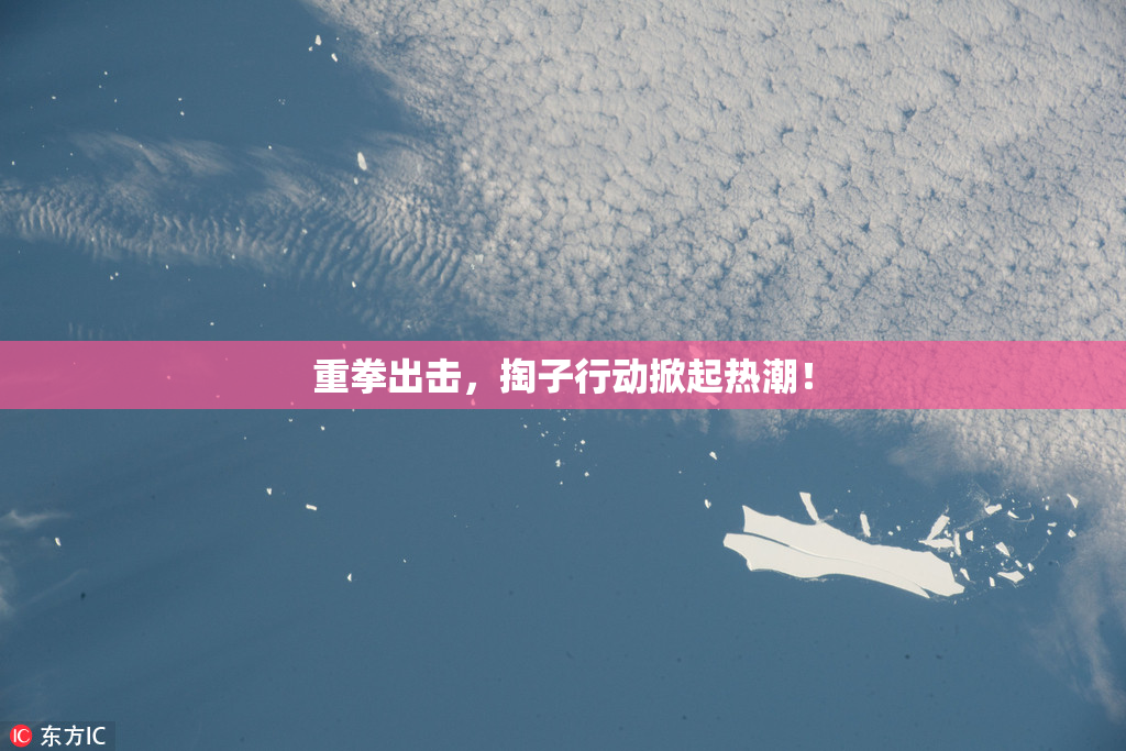 重拳出击，掏子行动掀起热潮！