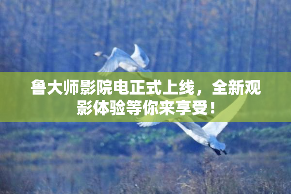 鲁大师影院电正式上线，全新观影体验等你来享受！
