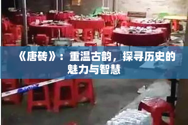 《唐砖》：重温古韵，探寻历史的魅力与智慧