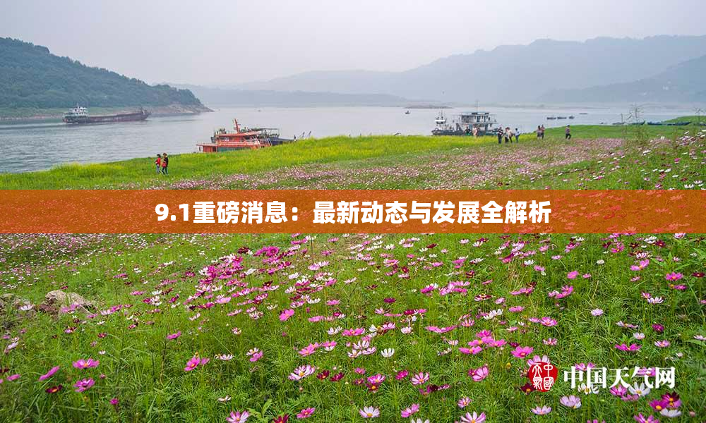 9.1重磅消息：最新动态与发展全解析