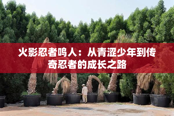 火影忍者鸣人：从青涩少年到传奇忍者的成长之路