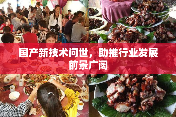 国产新技术问世，助推行业发展前景广阔