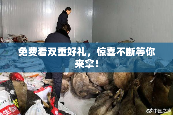 免费看双重好礼，惊喜不断等你来拿！