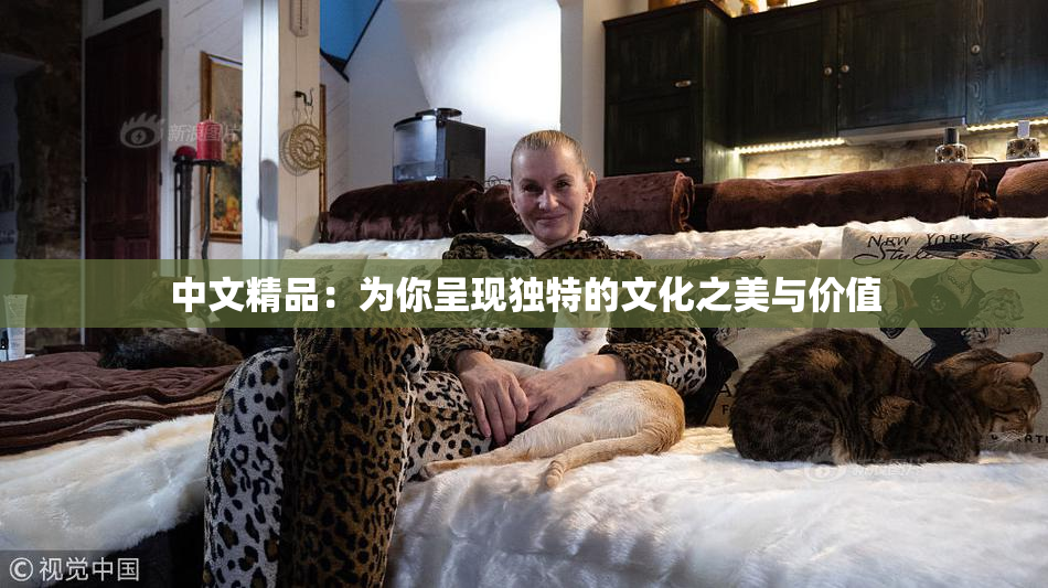 中文精品：为你呈现独特的文化之美与价值