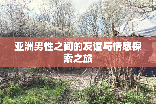 亚洲男性之间的友谊与情感探索之旅