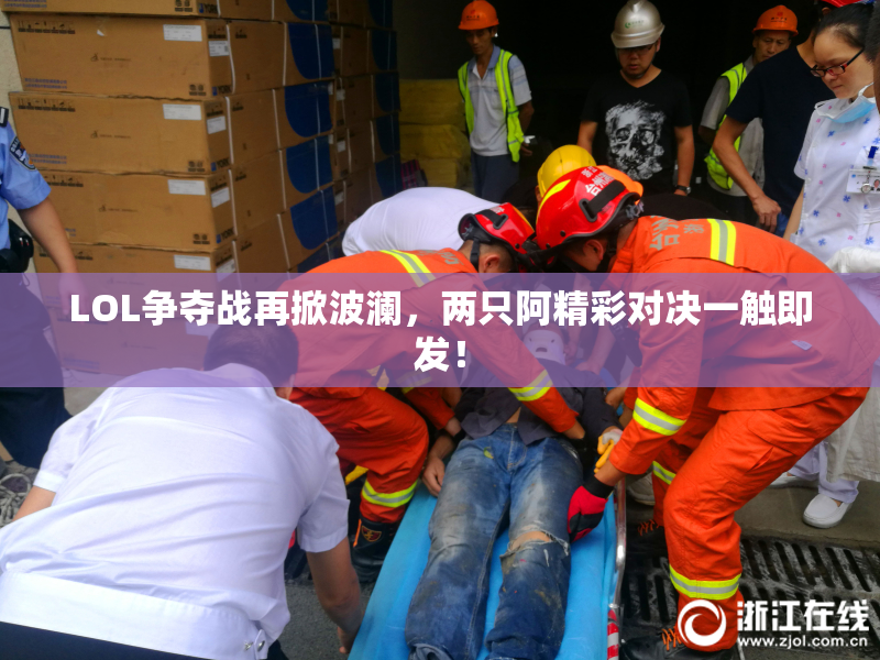 LOL争夺战再掀波澜，两只阿精彩对决一触即发！