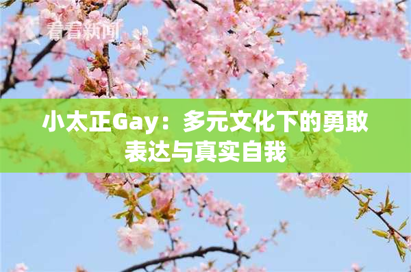 小太正Gay：多元文化下的勇敢表达与真实自我