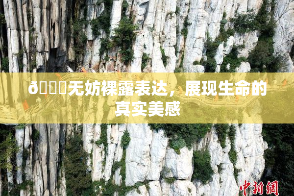 🔞无妨裸露表达，展现生命的真实美感
