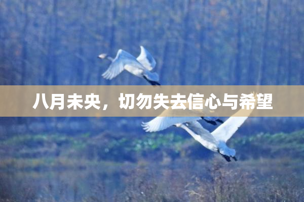 八月未央，切勿失去信心与希望