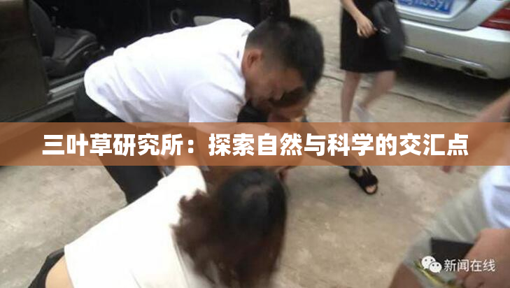 三叶草研究所：探索自然与科学的交汇点