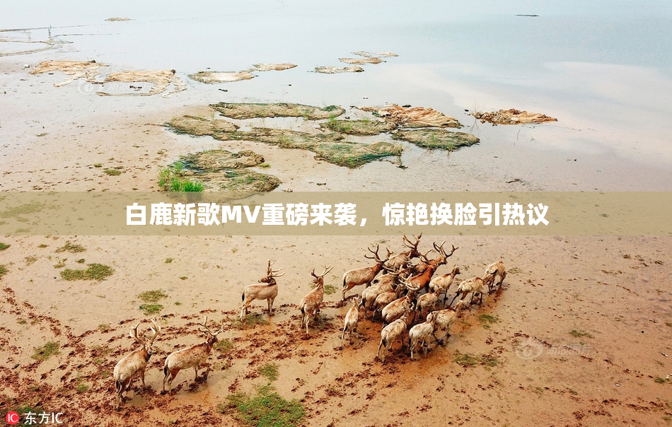 白鹿新歌MV重磅来袭，惊艳换脸引热议