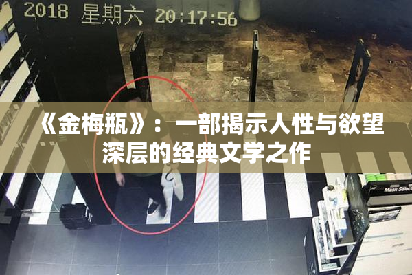《金梅瓶》：一部揭示人性与欲望深层的经典文学之作