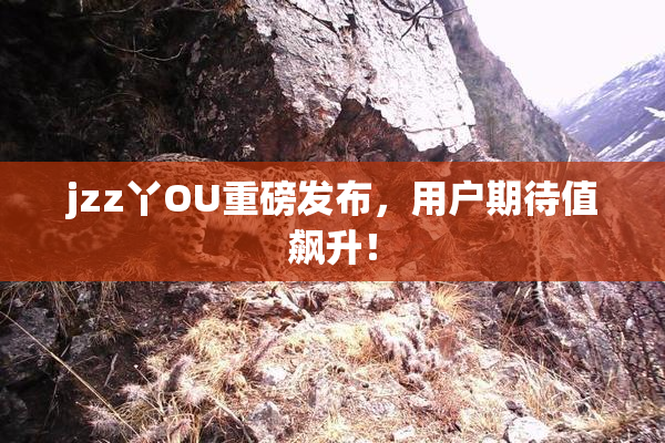 jzz丫OU重磅发布，用户期待值飙升！