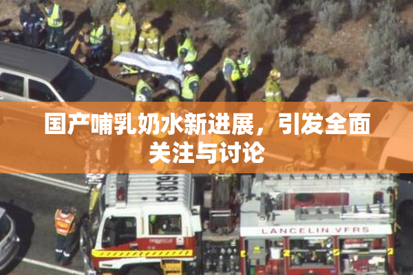 国产哺乳奶水新进展，引发全面关注与讨论