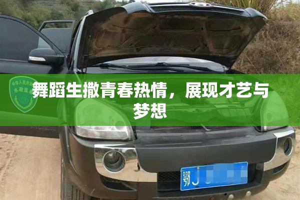 舞蹈生撒青春热情，展现才艺与梦想